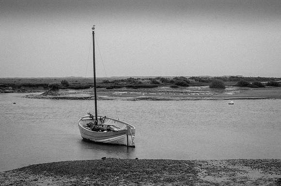 14PT_140126_BurnhamOvery_4407