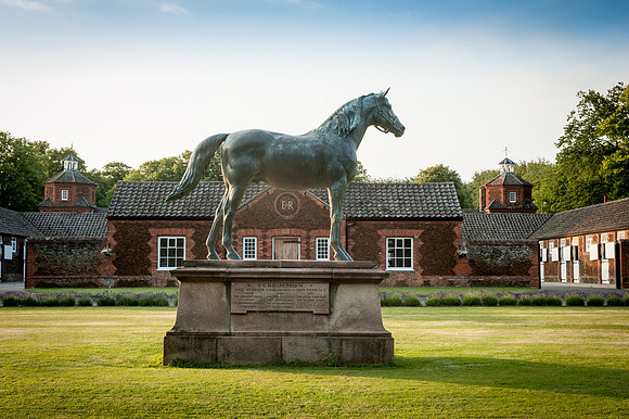 14PT_140620_SandringhamStud_7812