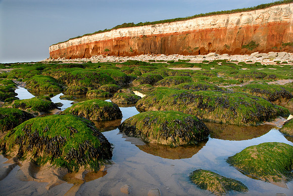 14PT_130101_Landscapes_224