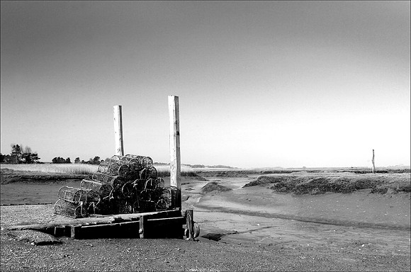14PT_130101_Landscapes_-2