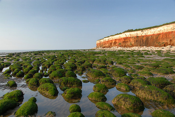 14PT_130101_Landscapes_220