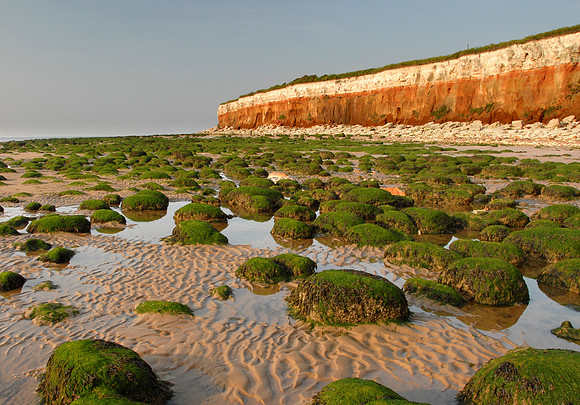 14PT_130101_Landscapes_226