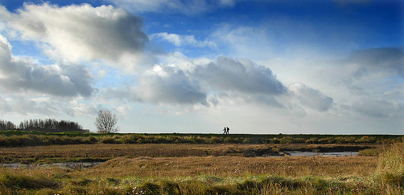 14PT_130101_Landscapes_246