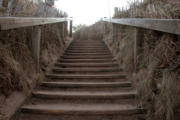 14PT_130101_Landscapes_290