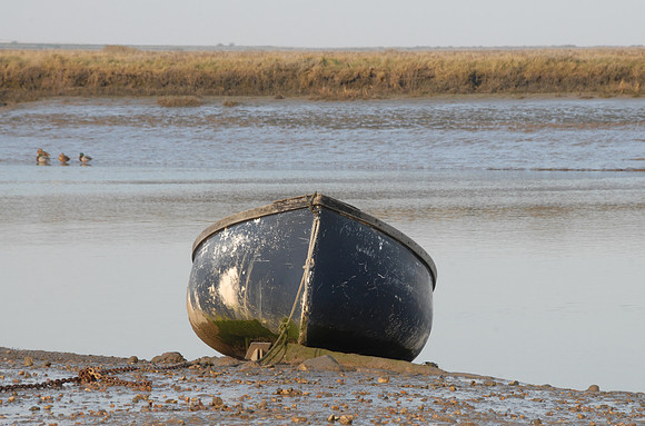 14PT_130101_Landscapes_258