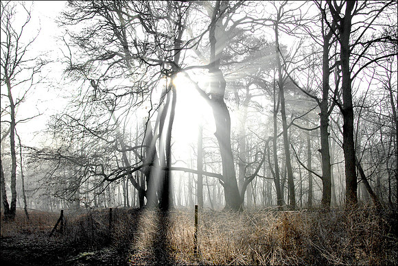 14PT_130101_Landscapes_195