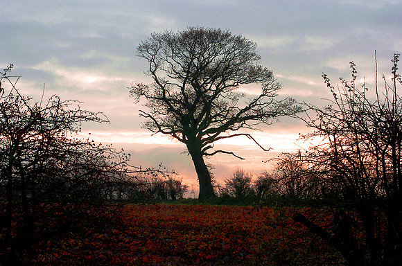 14PT_130101_Landscapes_28