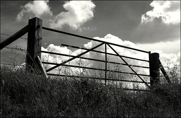 14PT_130101_Landscapes_142