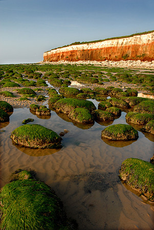 14PT_130101_Landscapes_222