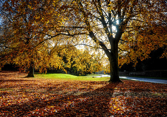 14PT_130101_Landscapes_024