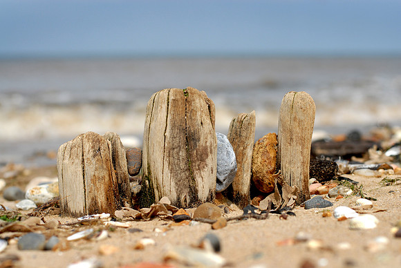 14PT_130101_Landscapes_242