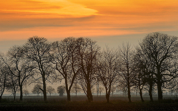 14PT_130101_Landscapes_043