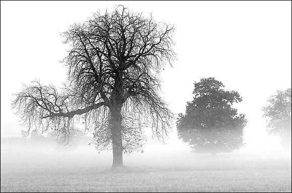 14PT_130101_Landscapes_138