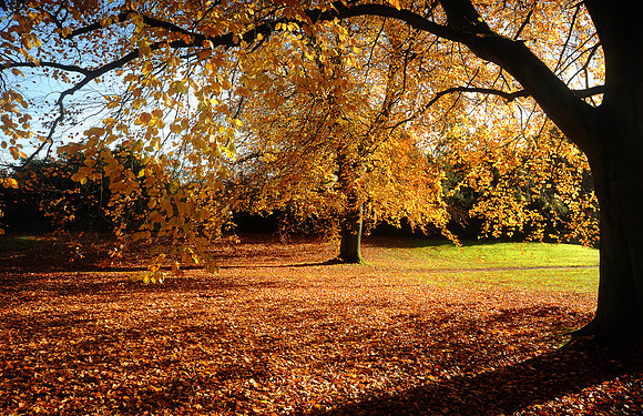 14PT_130101_Landscapes_023