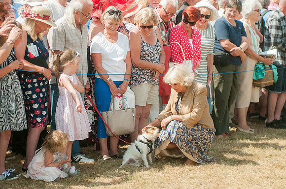 Sandringham Flower Show