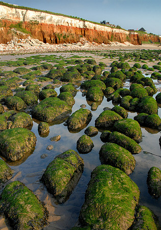 14PT_130101_Landscapes_221