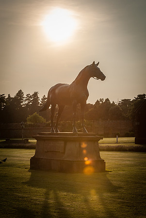 14PT_140620_SandringhamStud_7791