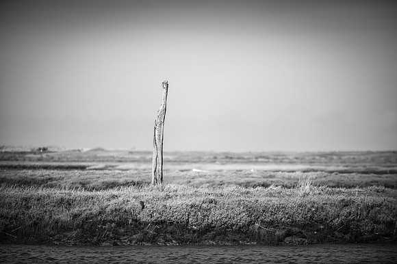 14PT_140221_BrancasterStaithe_1573