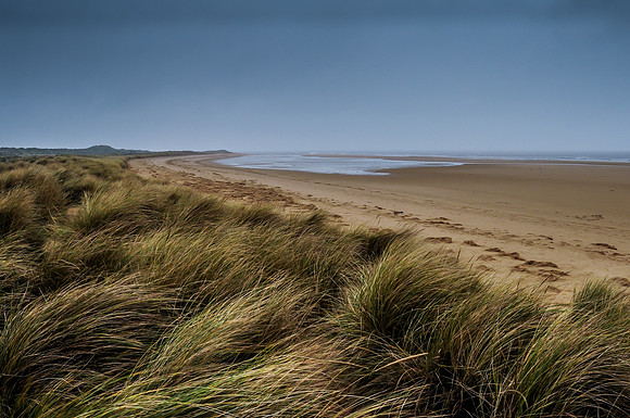 14PT_140126_HolkhamBeach_4435
