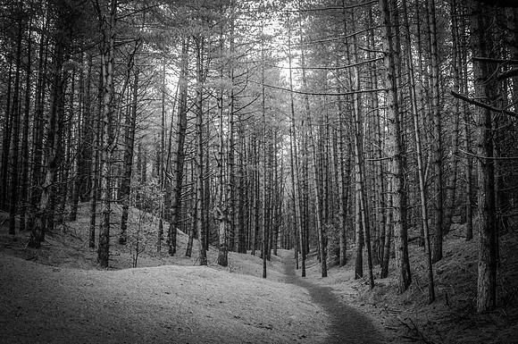 14PT_140126_HolkhamBeach_4424