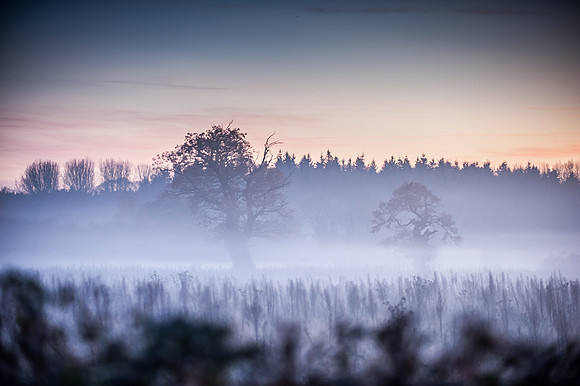 14PT_141124_Hillington_0436