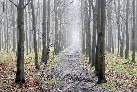 14PT_130101_Landscapes_307