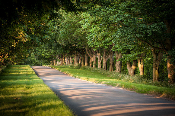 14PT_140620_SandringhamStud_7871