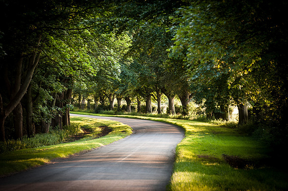 14PT_140620_SandringhamStud_7878