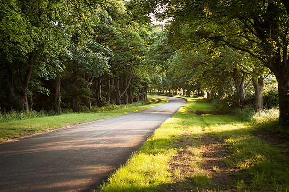 14PT_140620_SandringhamStud_7849
