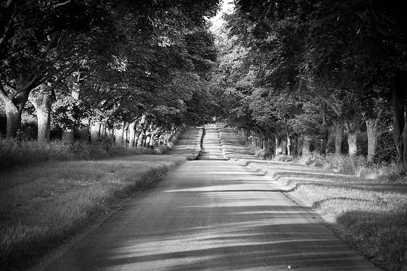 14PT_140620_SandringhamStud_7885
