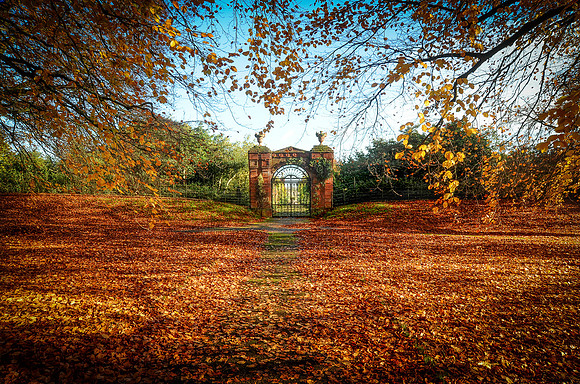 14PT_130101_Landscapes_022