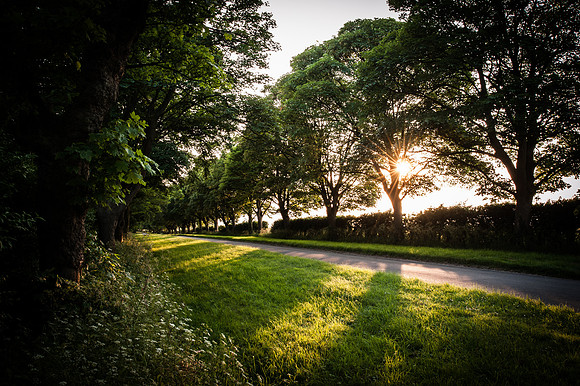 14PT_140620_SandringhamStud_7897